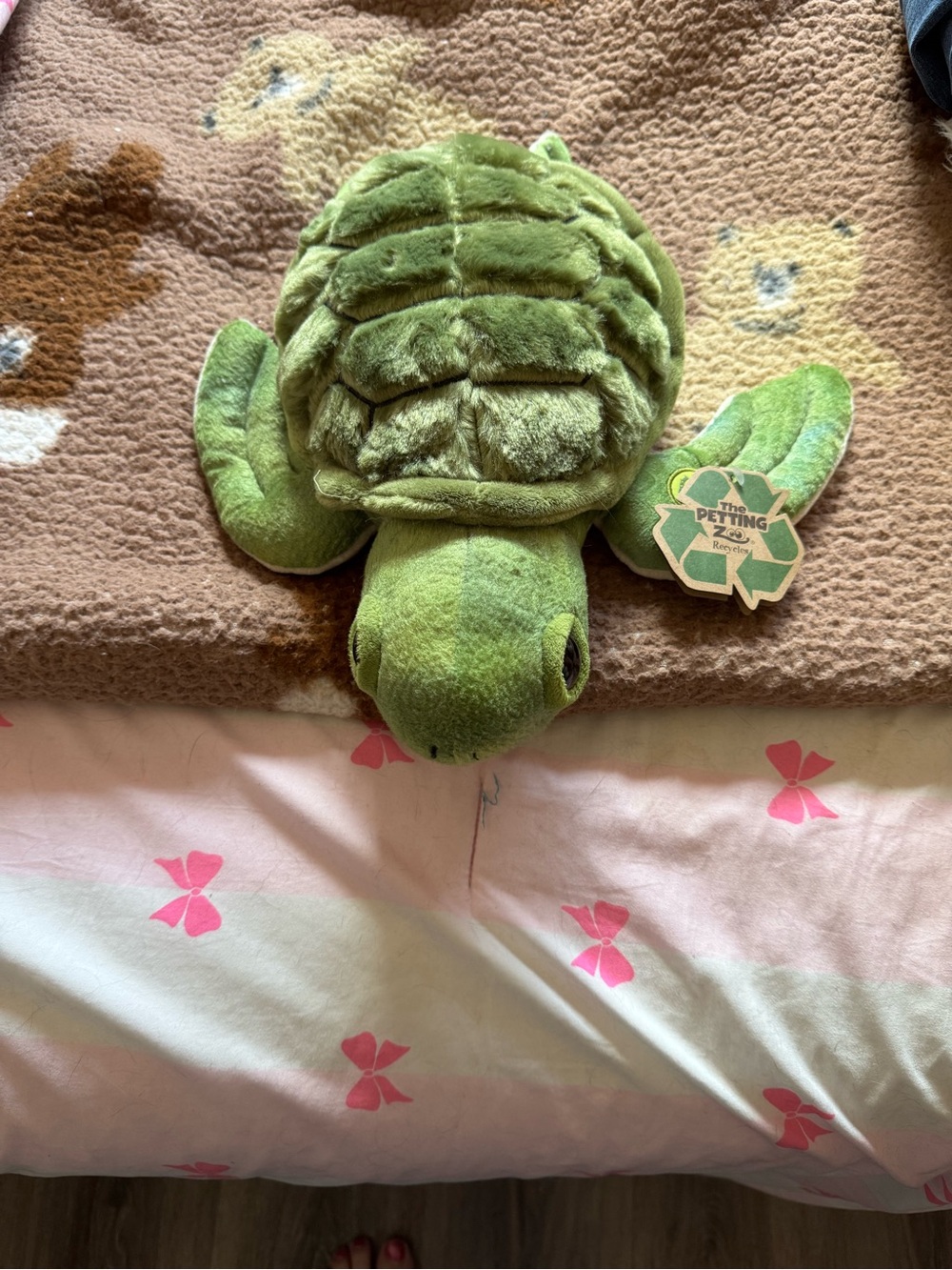 Green Plush Turtle Stuffed Animal - The Petting Zoo